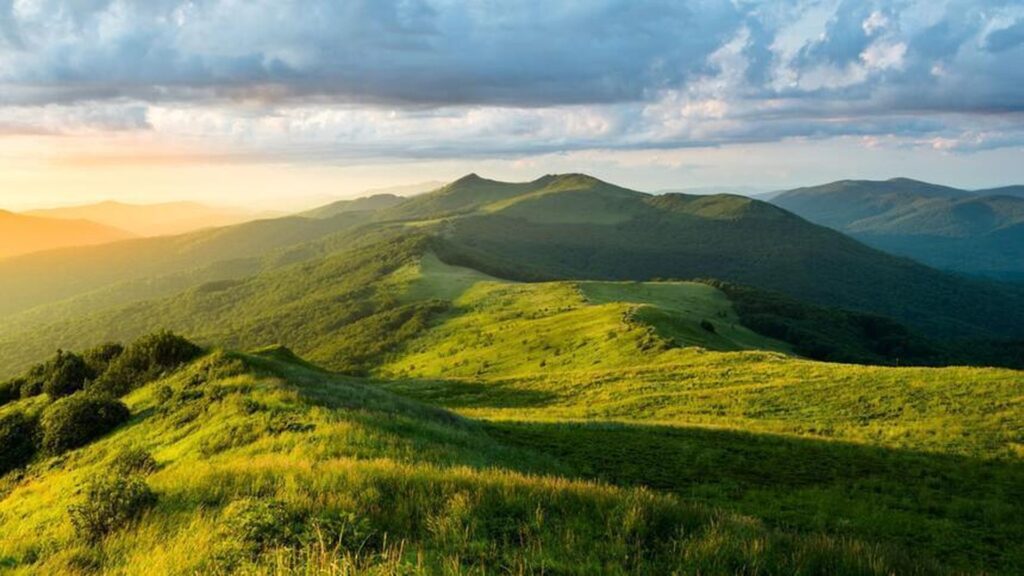 bieszczady x